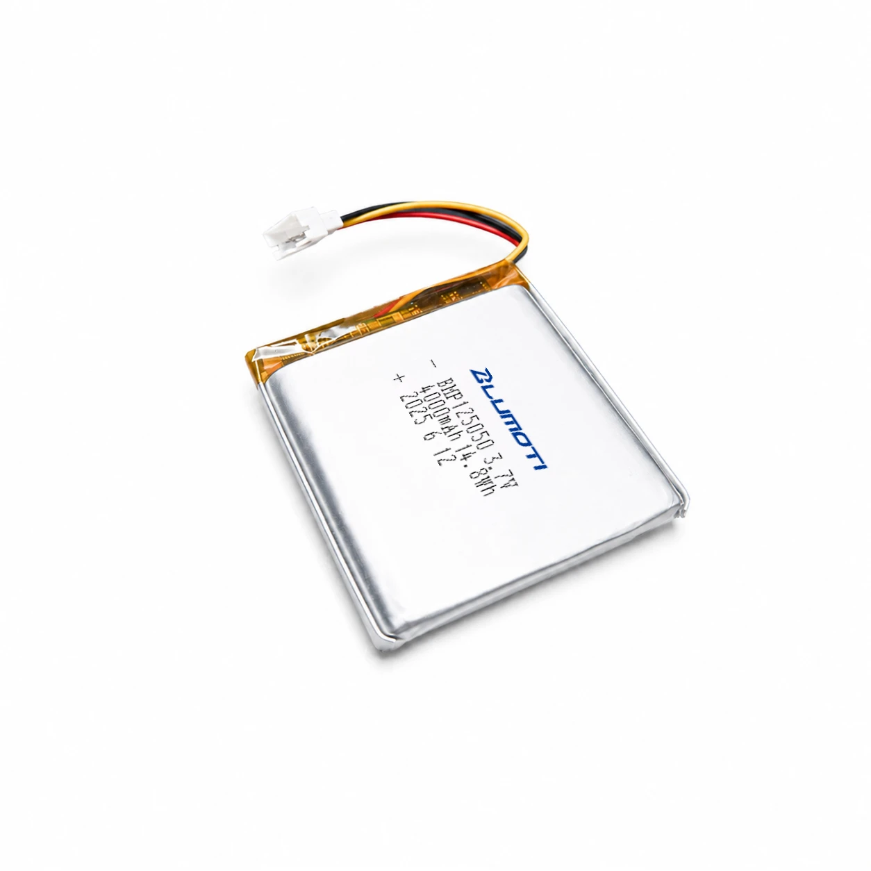 Lithium-ion Polymer Battery